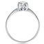The Danielle Ring, smallside view