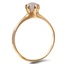 The Ithaca Ring, smallside view