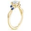 18K Yellow Gold Willow Contoured Ring With Sapphire Accents, smallside view