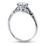 The Roxie Ring, smallside view