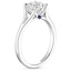 18K White Gold Reverie Ring with Surprise Sapphire Accents, smallside view