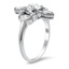 The Heike Ring, smallside view