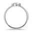 The Ainslee Ring, smallside view