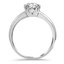 The Darcia Ring, smallside view