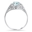 The Coloma Ring, smallside view