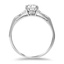 The Consuelo Ring, smallside view