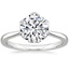 Platinum Caliana Ring, smalltop view