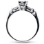 The Arnello Ring, smallside view