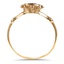 The Telesto Ring, smallside view