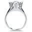 The Jovita Ring, smallside view