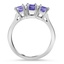 The Moir Ring, smallside view