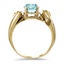 The Cartwright Ring, smallside view
