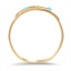 The Dyna Ring, smallside view