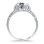 The Missouri Ring, smallside view