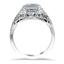 The Alexander Ring, smallside view