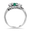 The Coates Ring, smallside view