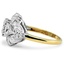 The Serenade Ring, smallside view