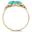 The Andover Ring, smallside view