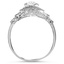 The Foxborough Ring, smallside view