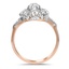 The Vanoni Ring, smallside view