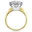 The Susan Ring, smallside view