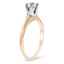 The Istas Ring, smalltop view on a hand