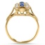 The Slyvia Ring, smallside view