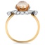 The Alary Ring, smallside view
