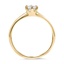 The Bennett Ring, smallside view