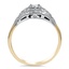 The Wavery Ring, smallside view