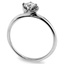 The Irene Ring, smallside view
