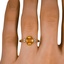 The Ammiel Ring, smallzoomed in top view on a hand