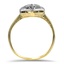 The Debbra Ring, smallside view