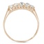 The Campbell Ring, smallside view