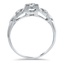 The Sweetwater Ring, smallside view