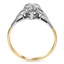 The Carlyn Ring, smallside view