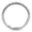 The Veola Ring, smallside view