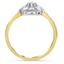 The Gracen Ring, smallside view