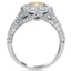 The Toille Ring, smallside view