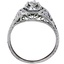 The Olympia Ring, smallside view