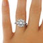 The Poinsettia Ring, smalltop view on a hand