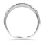 The Borden Ring, smallside view