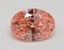 1.5 Ct. Fancy Vivid Pink Oval Lab Grown Diamond