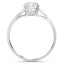 The Ellerslie Ring, smallside view