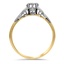 The Calwa Ring, smallside view