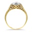 The Lesya Ring, smallside view