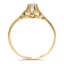 The Julia Ring, smallside view