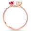 The Bellco Ring, smallside view