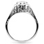 The Anna Ring, smallside view