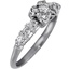 The Charlotte Ring, smallside view